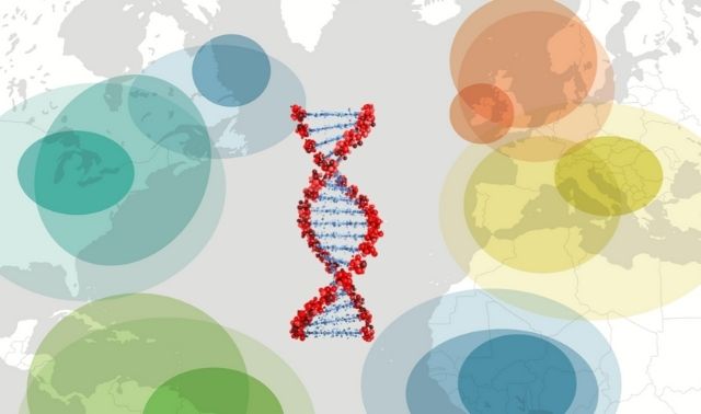 Cómo las pruebas de ADN pueden (y no pueden) construir su árbol genealógico.