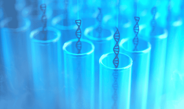 Cómo las pruebas de ADN pueden (y no pueden) construir su árbol genealógico.
